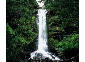 Unbranded Khao Yai National Park - Child