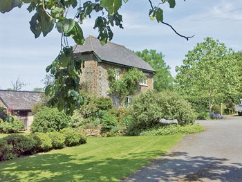 Unbranded Kingsley Mill