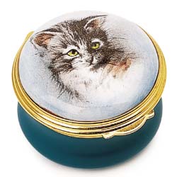 A detailed portrait of a tiny and appealing kitten