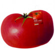 Unbranded Kneeler Cushion - Tomato