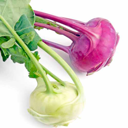 Unbranded Kohl Rabi Mixed Plants Tray of 16 Plants (8 of
