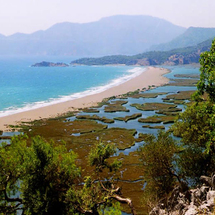 Unbranded Koycegiz Lake and Dalyan Caunos - Adult