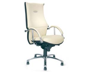 Ultra modern deluxe Italian leather faced chair. Stylish headrest area. Contoured seat and backrest 