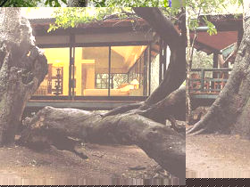 Unbranded KwaZulu Natal luxury lodge, South Africa