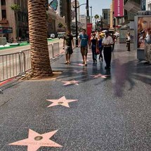 See the best of Los Angeles during this one-of-a-kind tour including visits to the Hollywood Walk of Fame, the hand and footprints at Manns Chinese Theatre, Beverly Hills and your choice of Venice Beach or Santa Monica.