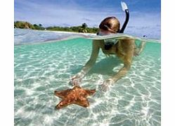 Grab your snorkel and get lost in a school of tropical fish on this exciting adventure to the beautiful underwater world of La Roqueta Island - a must for any visitor to Acapulco. Here nine different beaches and amazing snorkelling opportunities awai