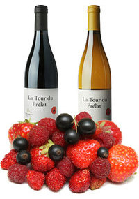 Unbranded La Tour du Prelat Self-Selection Case