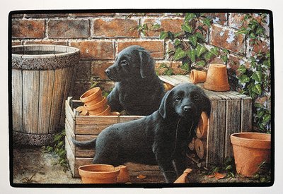 Labrador-Black-Bill & Ben Mat