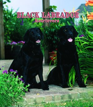 Labrador Retriever Black Weekl Calendar