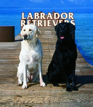 Labrador Retriever Weekly Enga Calendar
