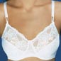 Lace Minimiser Bra