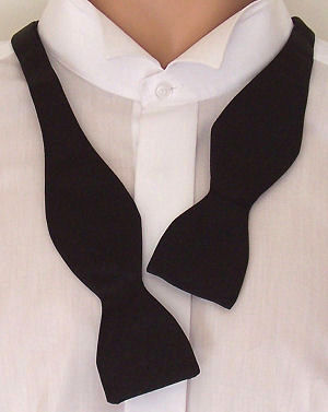Unbranded Ladies Self-Tie Plain Black Bow Tie