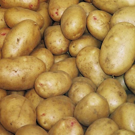 Unbranded Lady Balfour Potatoes - 3 kg (Second Early) 3 kg
