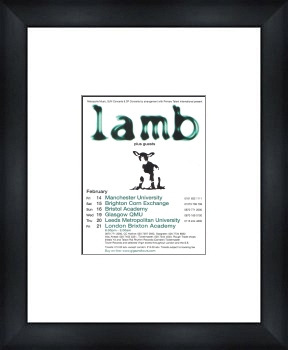 Unbranded LAMB