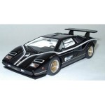 Lamborghini Countach LP500R