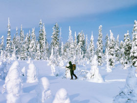 Unbranded Lapland family winter adventure holiday