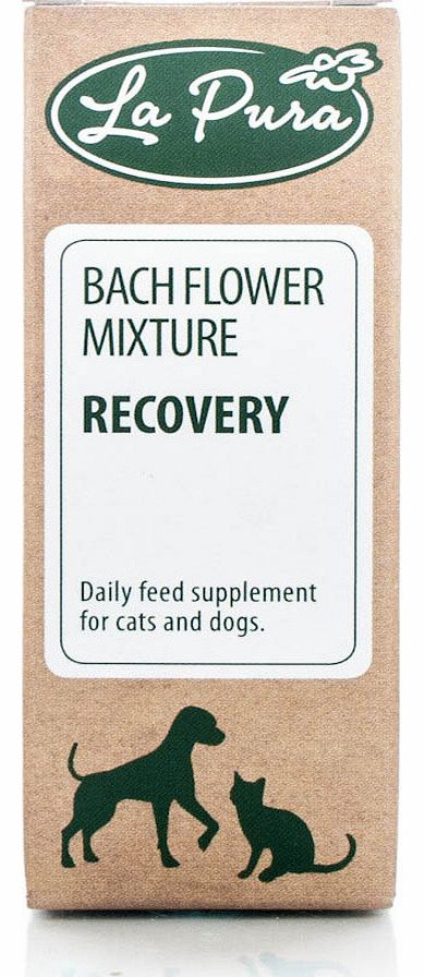 La Pura Bach Flower Supplement for Recovery is a daily supplementary feed for cats and dogs showing typical signs of discomfort:Resulting from an accidentWoundsPanicStress Situations (Barcode EAN=5060272730222)