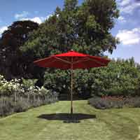 Large Parasol Berry Red