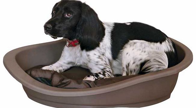 This plastic pet bed was designed with your beloved pets comfort in mind. Its hard and durable material will make them feel safe and secure and the plush internal cushion adds warmth and comfort. Plastic. Suitable for large sized dogs. Machine washab