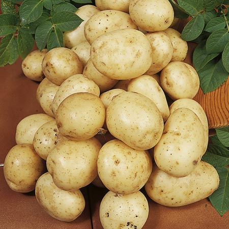 Unbranded Late Season Carlingford Potatoes 2 kg Pack