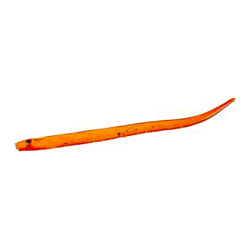 Unbranded Latex Sandeels - 4inch - Orange / Gold (Packs of
