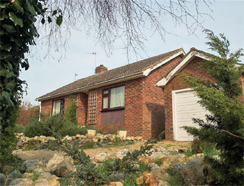 Unbranded Lavender Corner