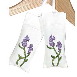 For hundreds of years, the scent of lavender flowers has been used to keep clothes fresh and