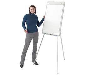 Unbranded Leader flipchart easels