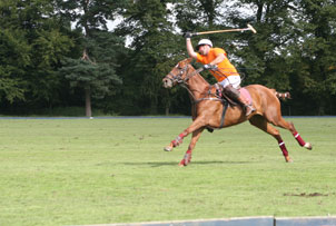 Unbranded Learn to Play Polo