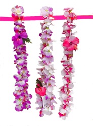 Lei - Dendrobium Orchid - assorted - approx 32cm in diameter