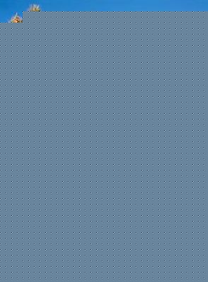 Leopard Sequined Thong Bikini Set Womens Swim Wear