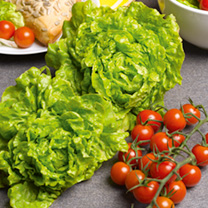 Unbranded Lettuce Seeds - Tom Thumb