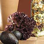 Unbranded Lettuce Sentry Seeds 436672.htm