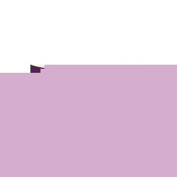 Unbranded Levonelle One Step