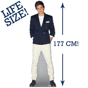 Unbranded Liam Payne Cardboard Cutout