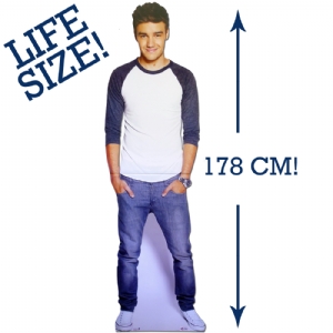 Unbranded Liam Payne Life Size Cut Out
