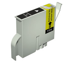 Light Cyan Cartridge for Epson Stylus Photo R200