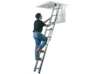 Unbranded Light duty loft ladder
