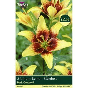 Unbranded Lily Lemon Stardust Bulbs