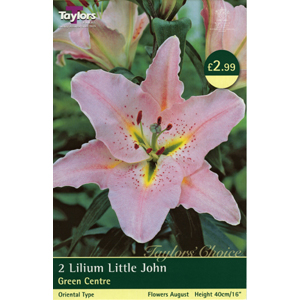 Unbranded Lily Little John Bulbs