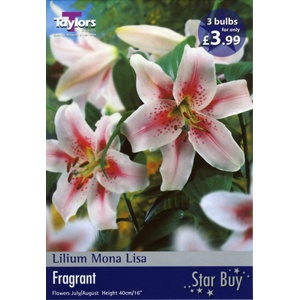 Unbranded Lily Mona Lisa Bulbs