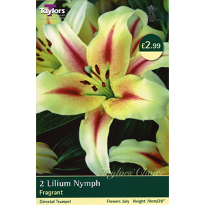 Unbranded Lily Nymph Bulbs