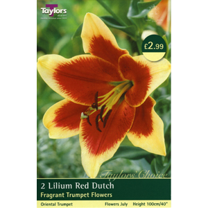 Unbranded Lily Red Dutch Bulbs
