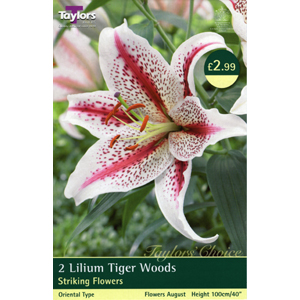 Unbranded Lily Tiger Woods Bulbs