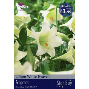 Unbranded Lily White Heaven Bulbs