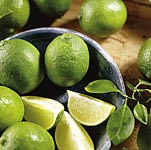 Enjoy the scent and flavour of your very own Mediterranean-style citrus grove! Our lemons boast glos