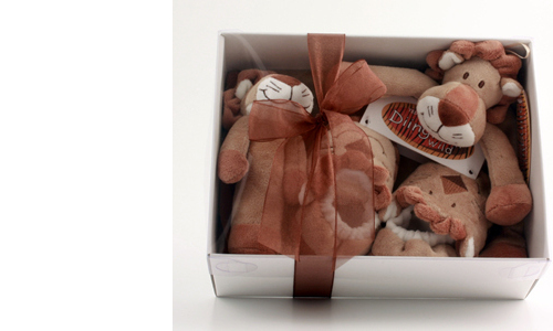 Unbranded Lion Baby Gift Set