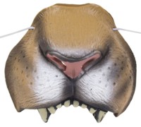 Unbranded Lion Nose on Elastic