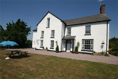 Unbranded Little Brampton