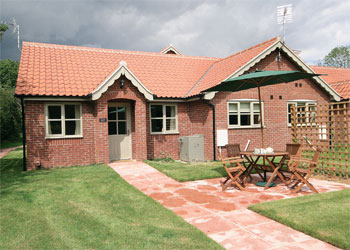 Unbranded Little Broad